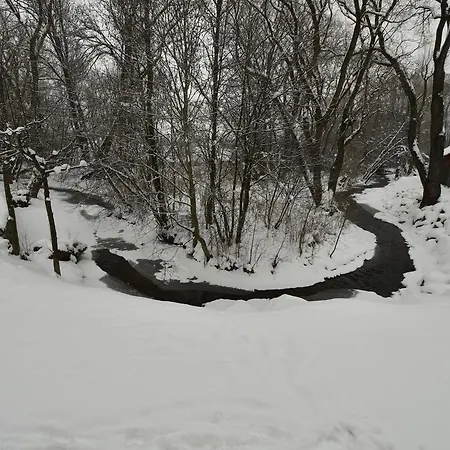 Pensjonat Bicar Batyżowice